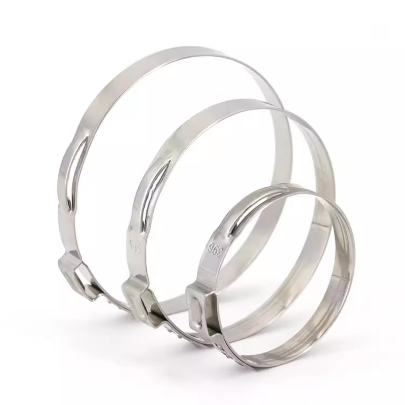 Hose Clamp Assorted - 5-20 stuks 5,3-159 mm 304 roestvrij