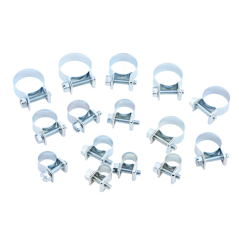 Jubileumslangklemmen 10-delige - Hose Clamp Assorted recensie en prijs