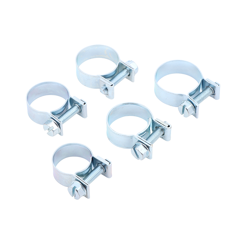 Jubileumslangklemmen 10-delige - Hose Clamp Assorted recensie en prijs