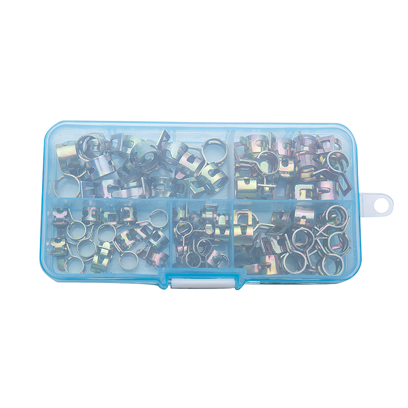 75 Stks/set 6-10Mm Lente Stook - Hose Clamp Assorted recensie en prijs