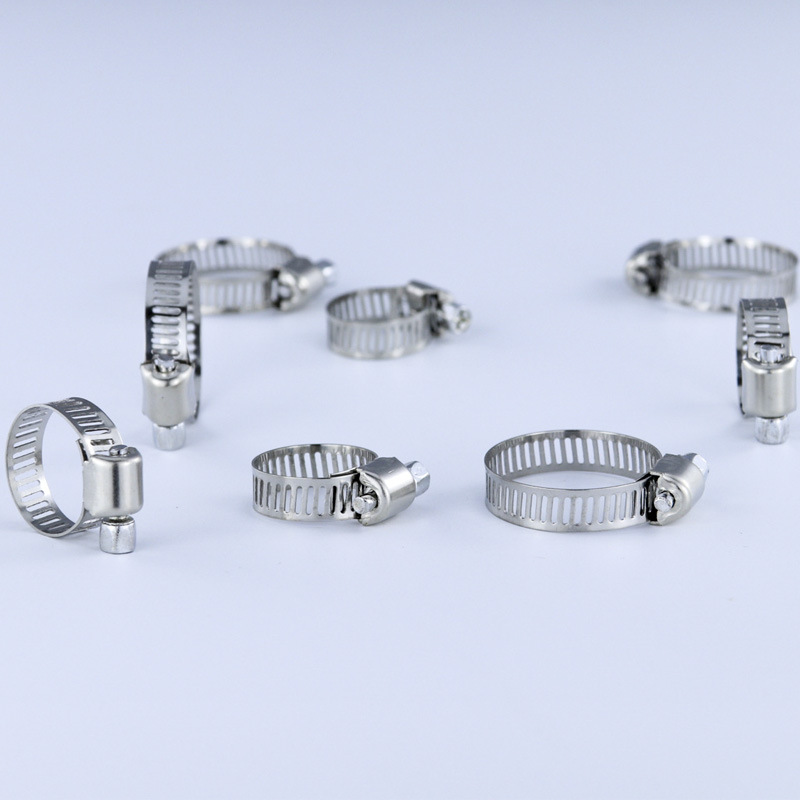 40/50 stuks roestvrijstalen sl - Hose Clamp Assorted recensie en prijs